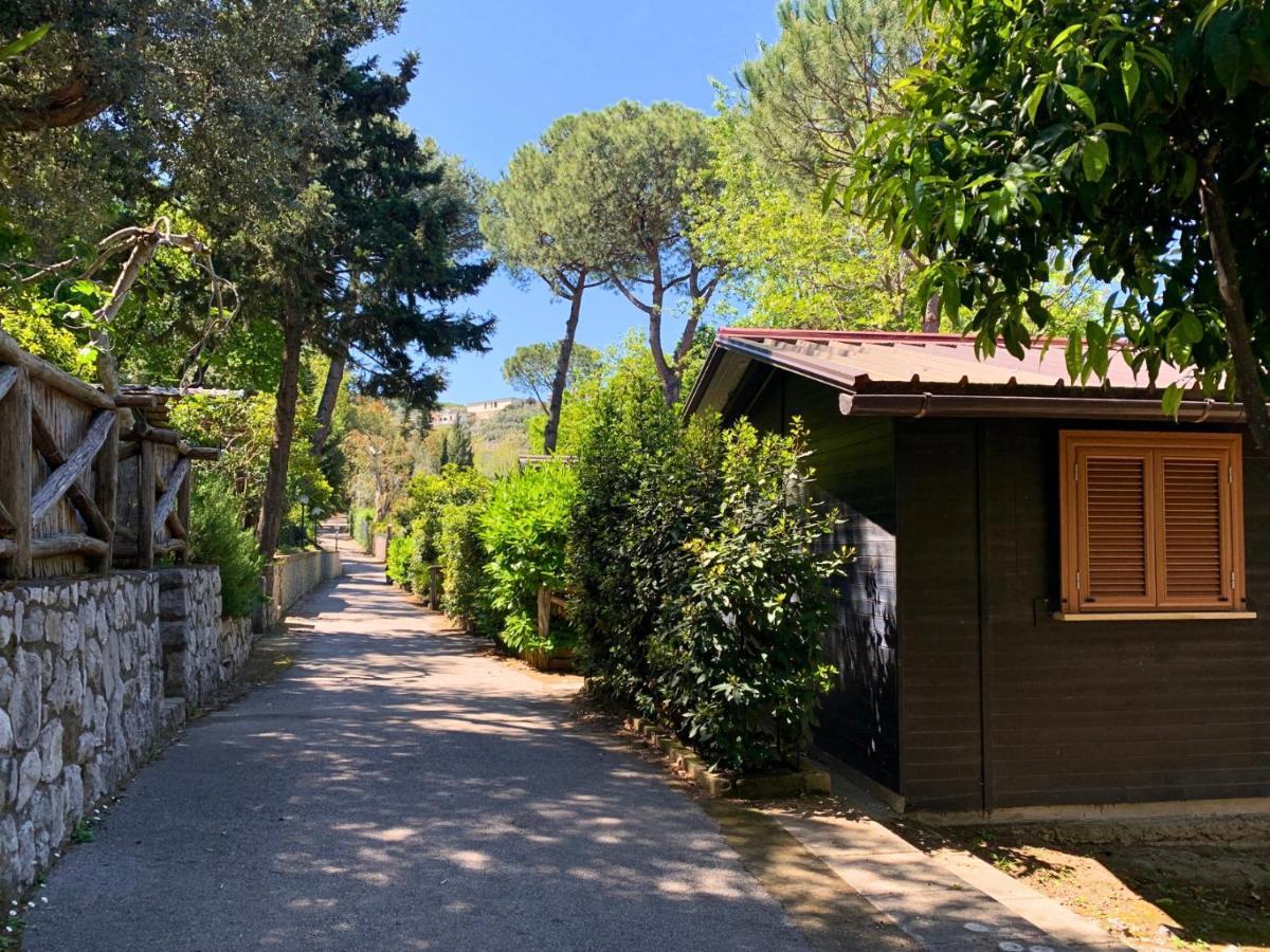 Village Camping Santa Fortunata - Campogaio Sorrento Exteriér fotografie