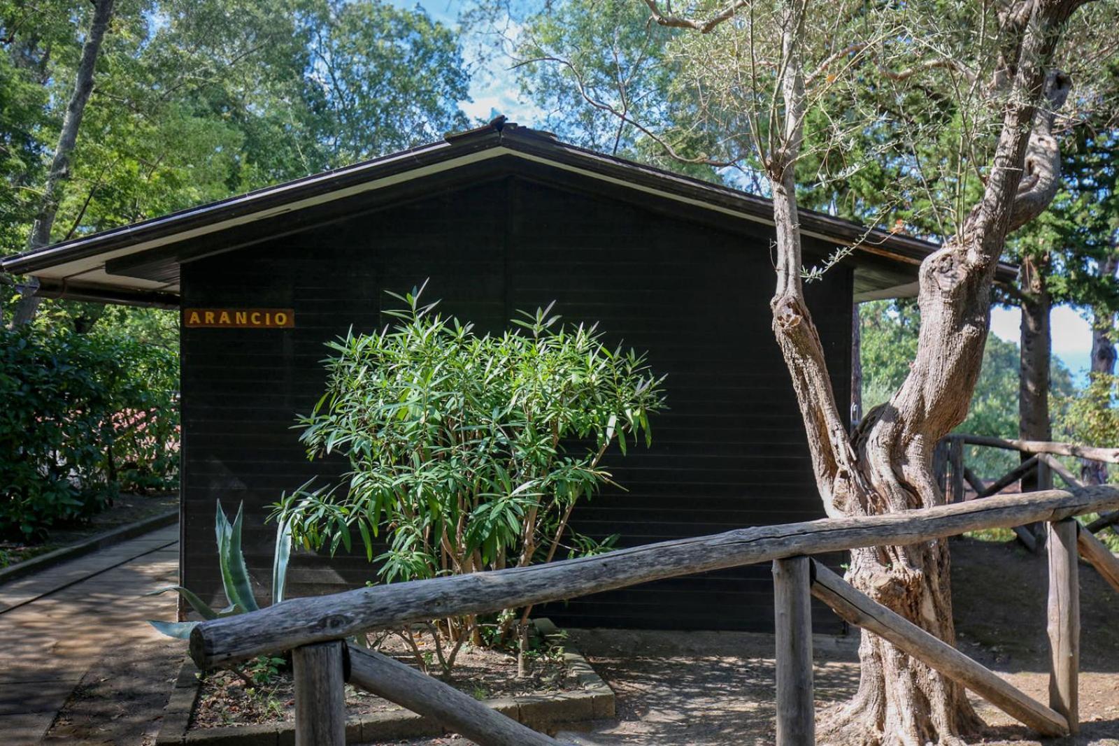 Village Camping Santa Fortunata - Campogaio Sorrento Exteriér fotografie