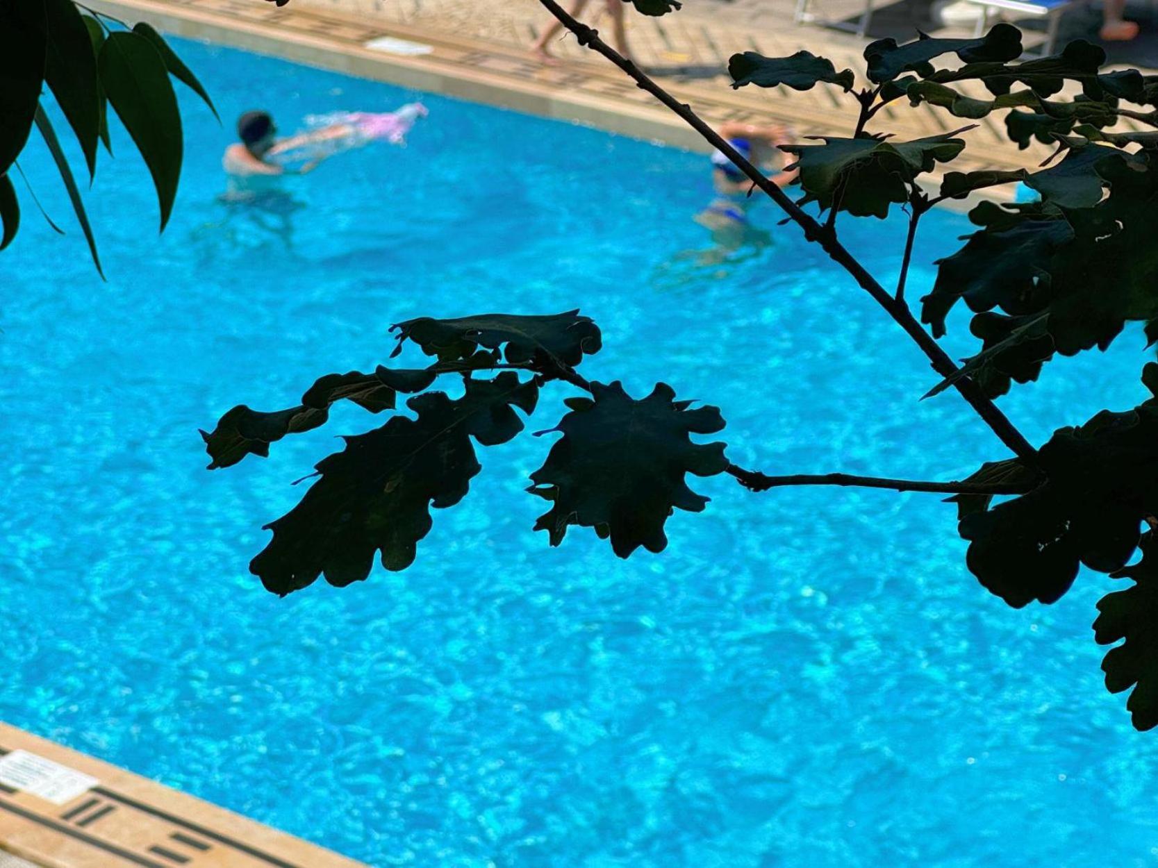 Village Camping Santa Fortunata - Campogaio Sorrento Exteriér fotografie